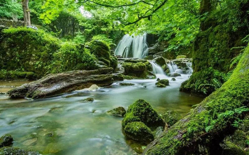 智能系统高效